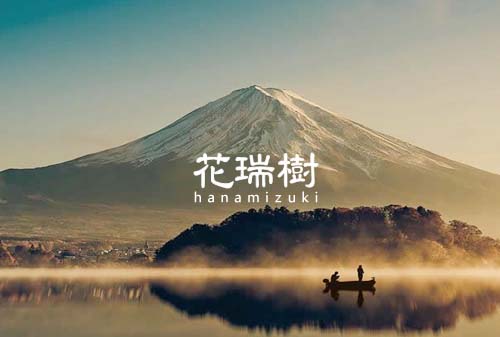 芜湖医疗